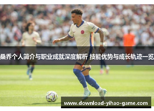 桑乔个人简介与职业成就深度解析 技能优势与成长轨迹一览