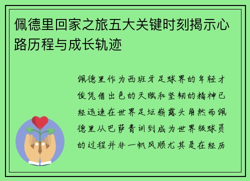 佩德里回家之旅五大关键时刻揭示心路历程与成长轨迹