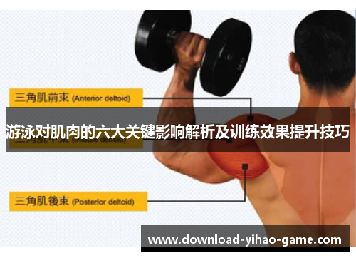 游泳对肌肉的六大关键影响解析及训练效果提升技巧