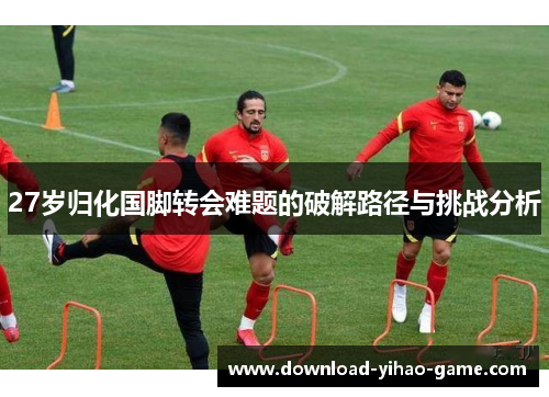 27岁归化国脚转会难题的破解路径与挑战分析