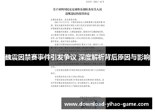 魏震因禁赛事件引发争议 深度解析背后原因与影响